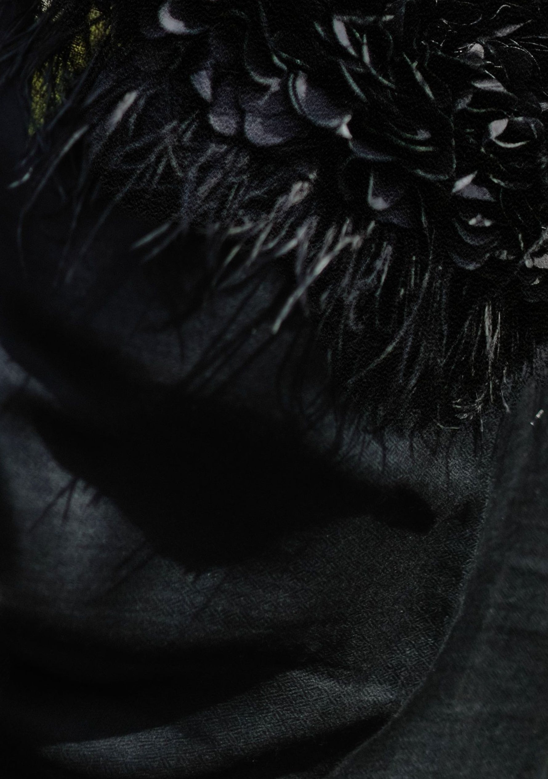 Black Cashmere Scarf with a Black Feather and Black Satin Leaf Collar and Appliques