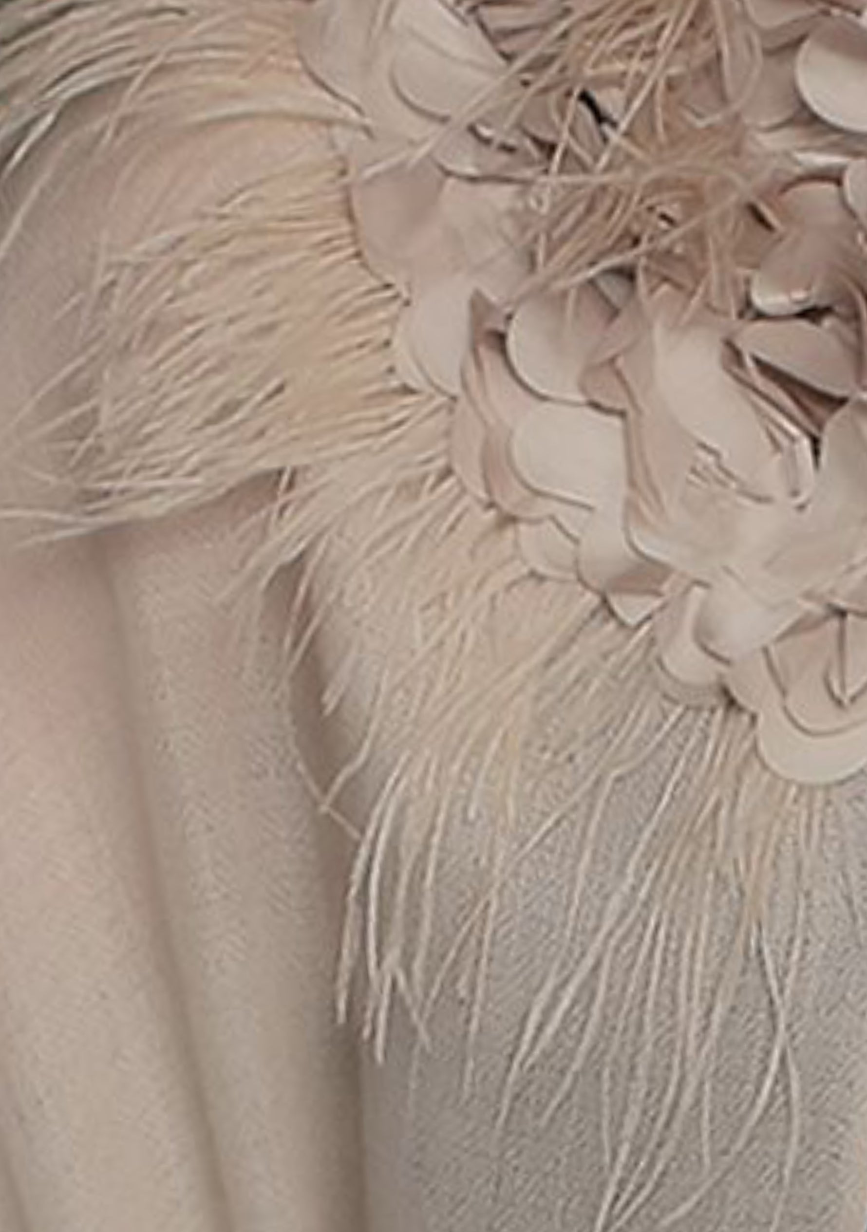 Beige Cashmere Scarf with a Beige Feather and Beige Satin Leaf Collar and Appliques