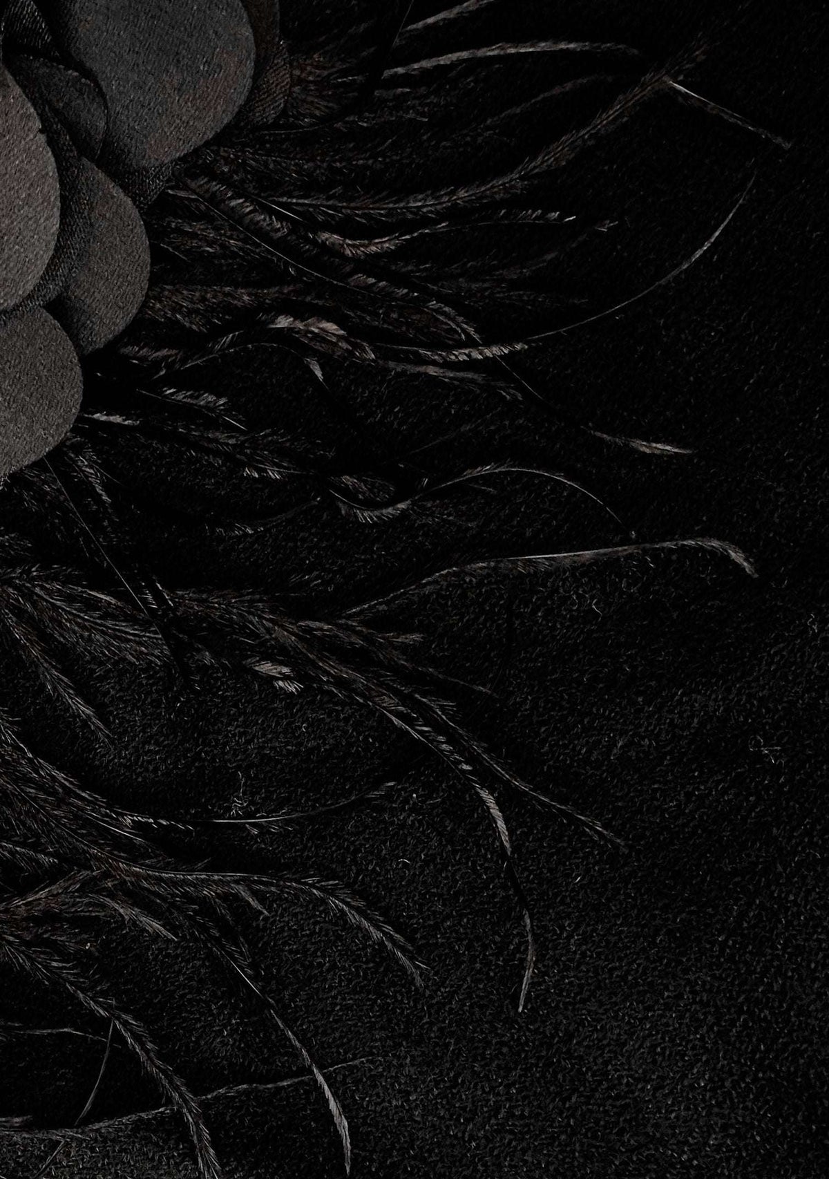 Black Cashmere Scarf Black Feather & Satin Applique