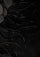 Black Cashmere Scarf Black Feather & Satin Applique
