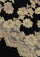 Luxury black cashmere scarf with handcrafted gold Chantilly lace in a floral vine pattern, perfect for formal occasions and timeless luxury styling.