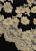 Luxury black cashmere scarf with handcrafted gold Chantilly lace in a floral vine pattern, perfect for formal occasions and timeless luxury styling.
