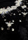 Black cashmere scarf with beige embroidery and black lace