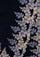Black wool and silk scarf with mousse, dark gray and natural lace