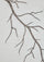 Ivory cashmere scarf with taupe embroidery