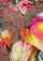 Maneesha Ruia roses print wool and silk scarf with sienna floral lace border in soft pink and cream designer wrap
