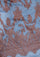 Maneesha Ruia Steel Blue Cashmere Scarf — mocha mousse filigree lace appliqué on luxuriously soft cashmere
